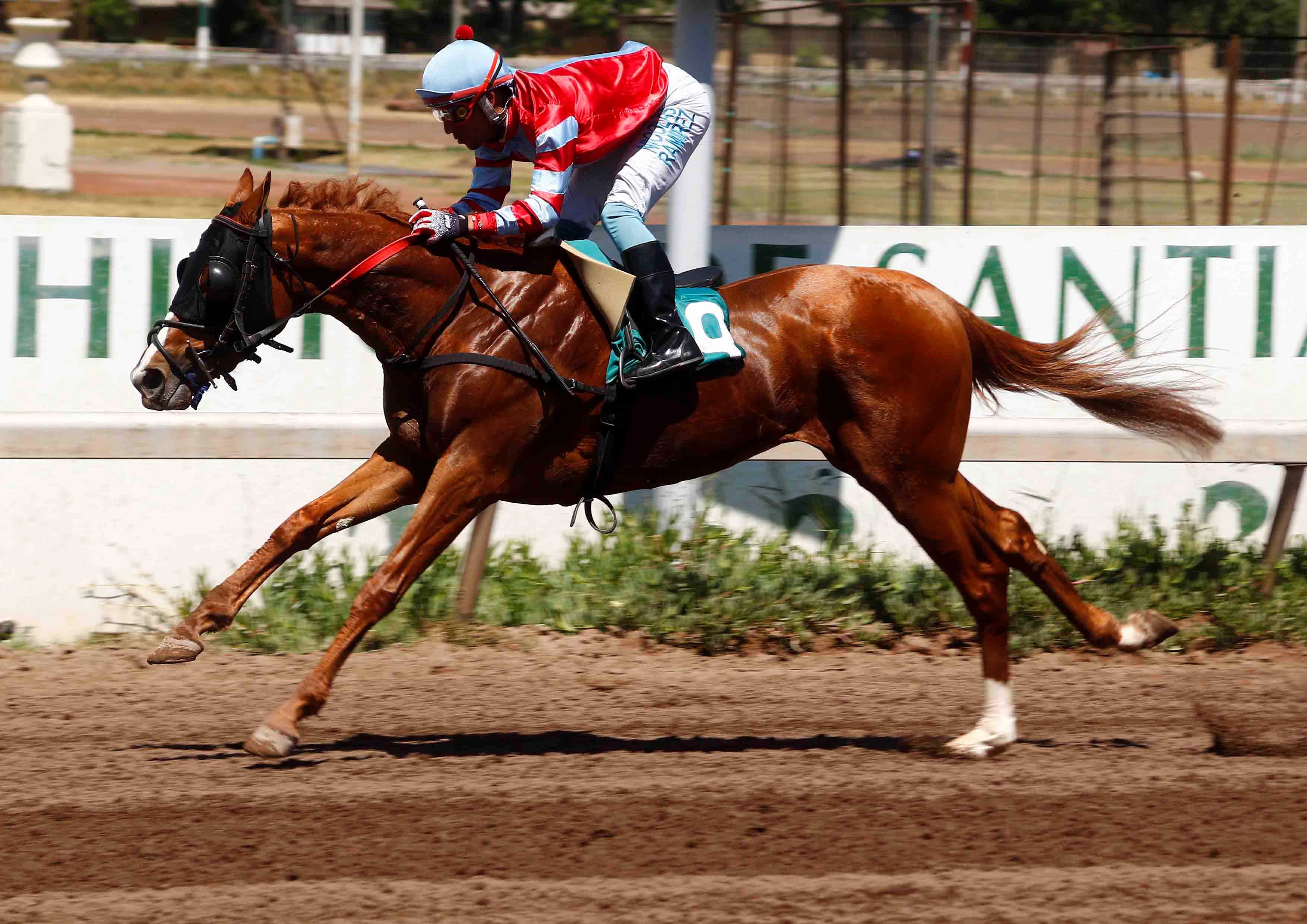  - Comunicaciones Matriarca