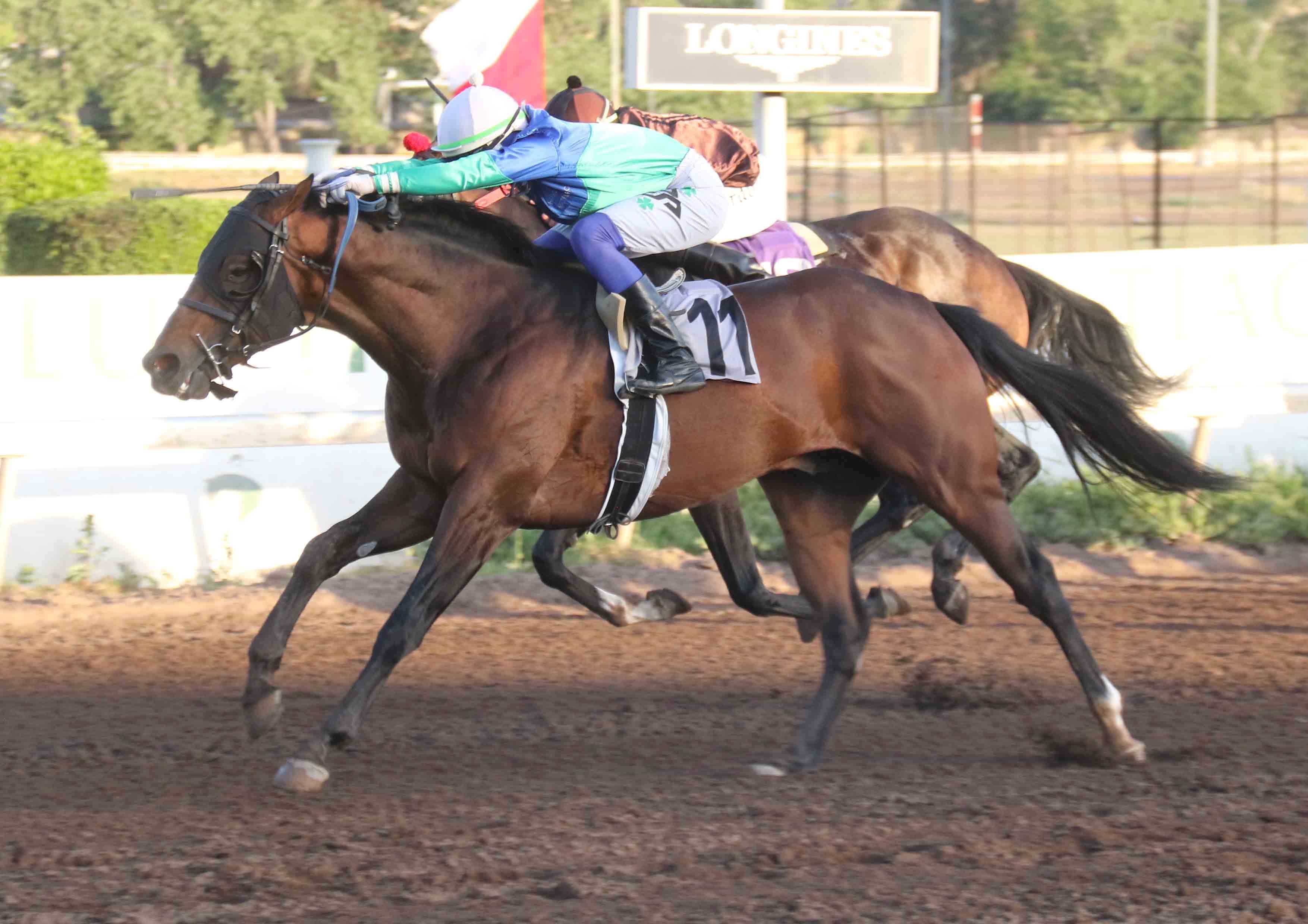  - Comunicaciones Matriarca