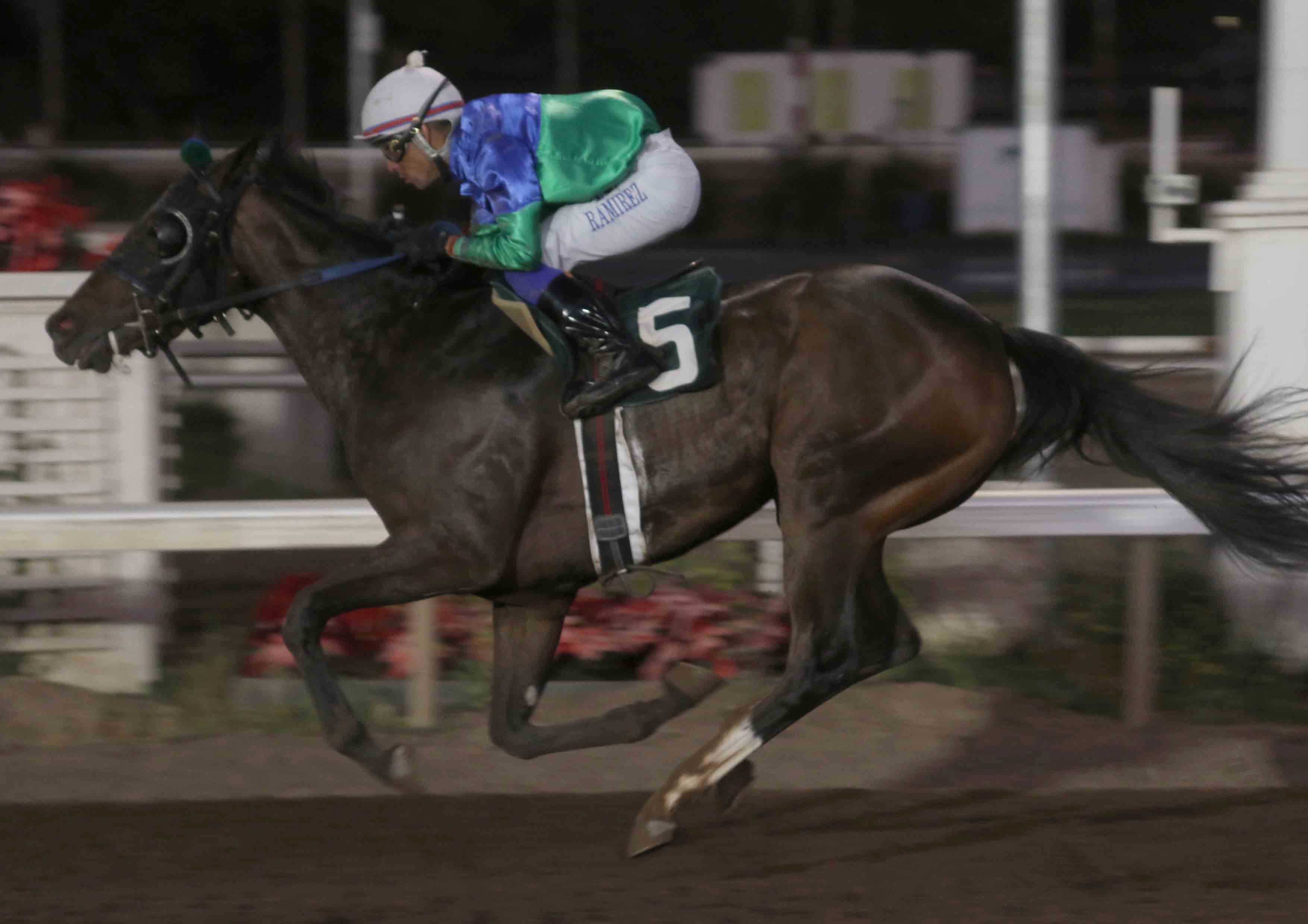 - Comunicaciones Matriarca