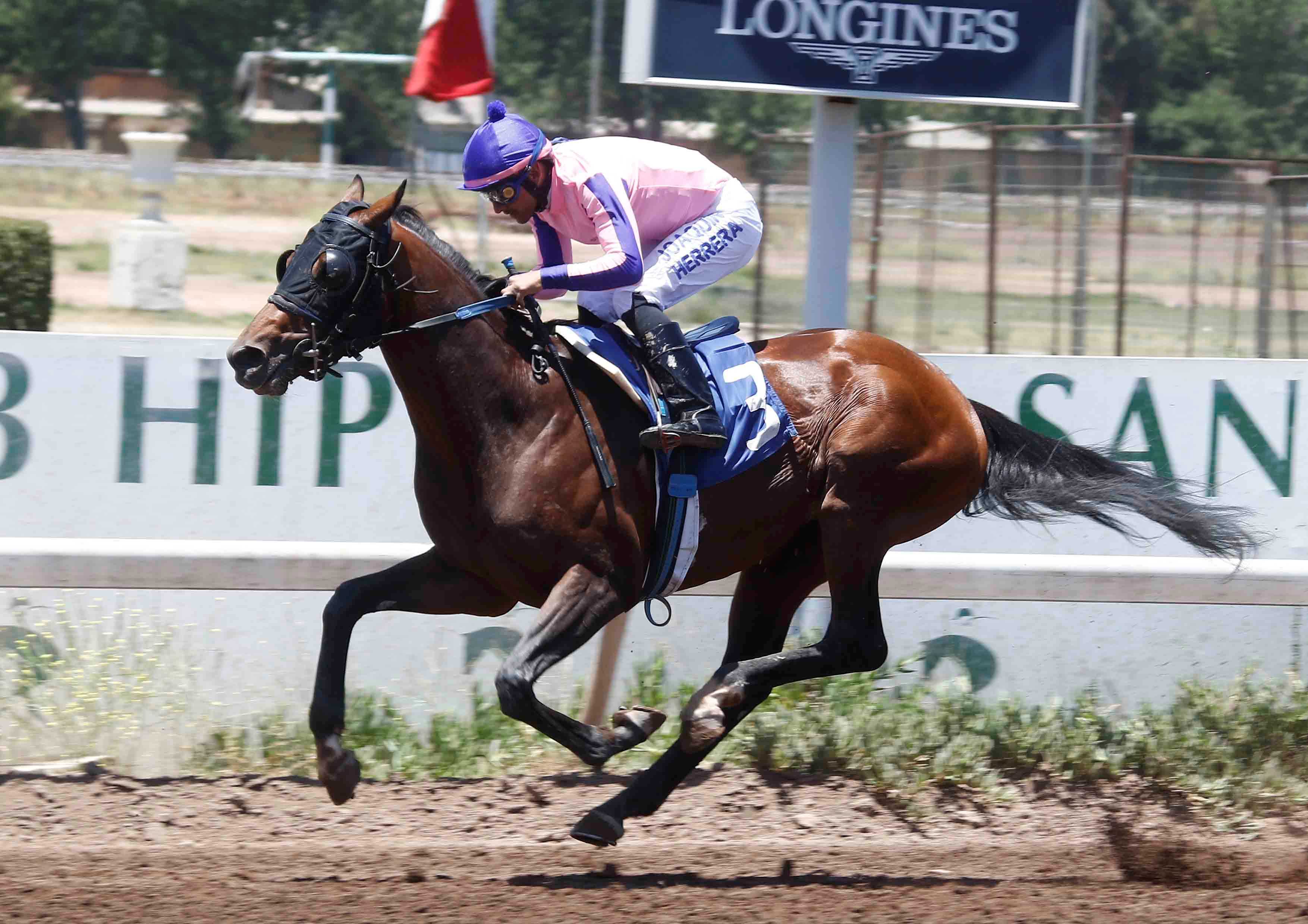 - Comunicaciones Matriarca