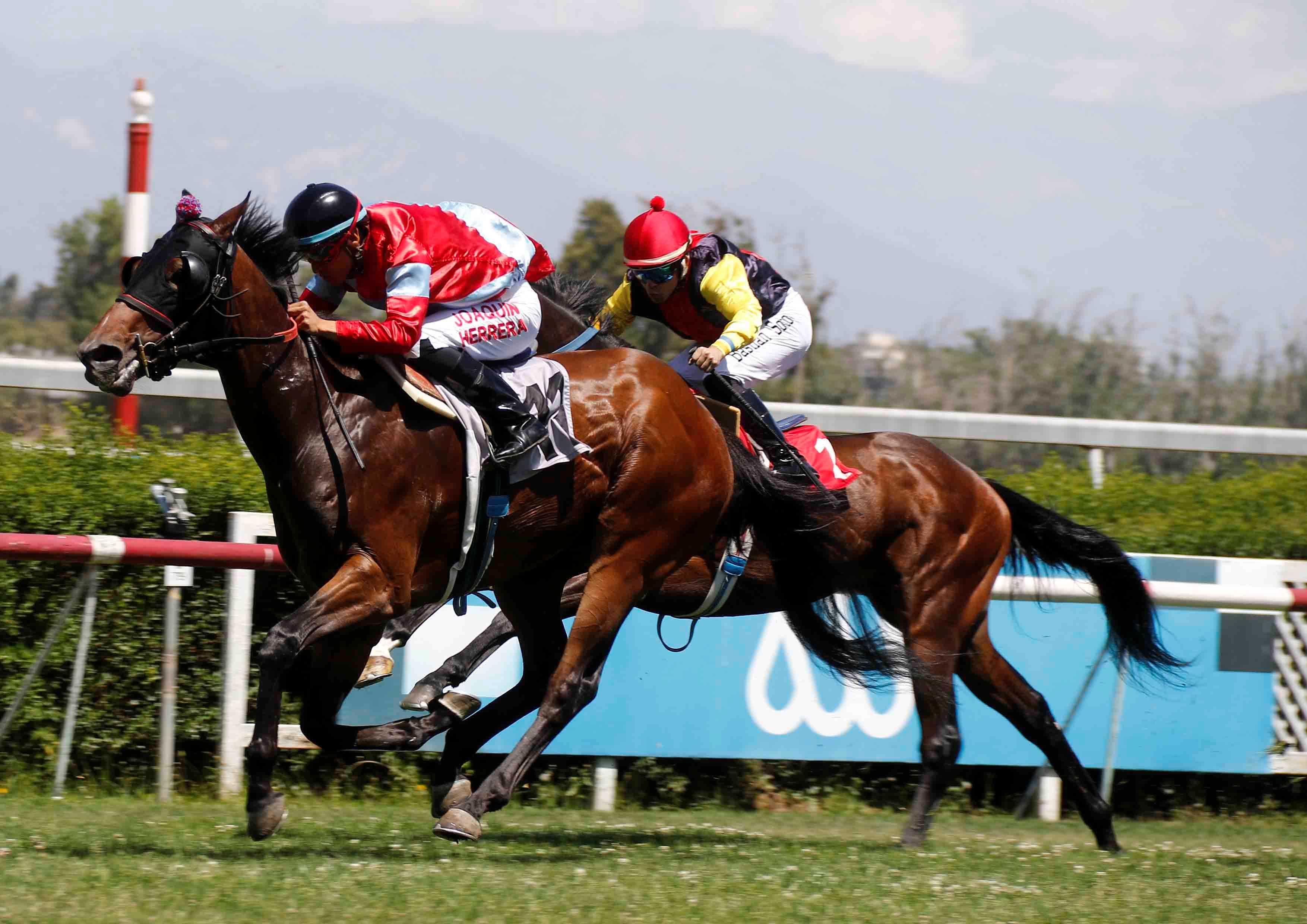 - Comunicaciones Matriarca