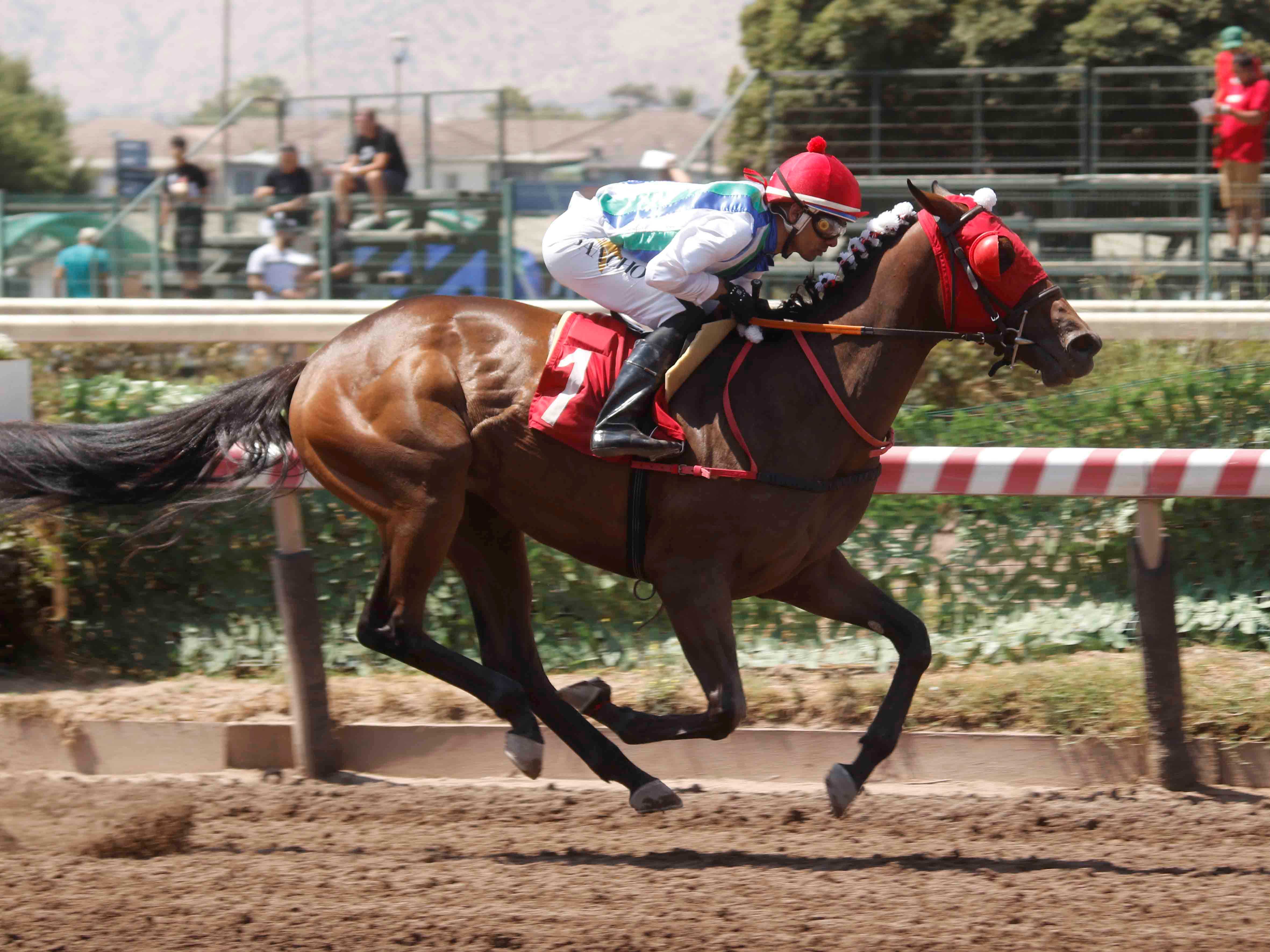  - Comunicaciones Matriarca 