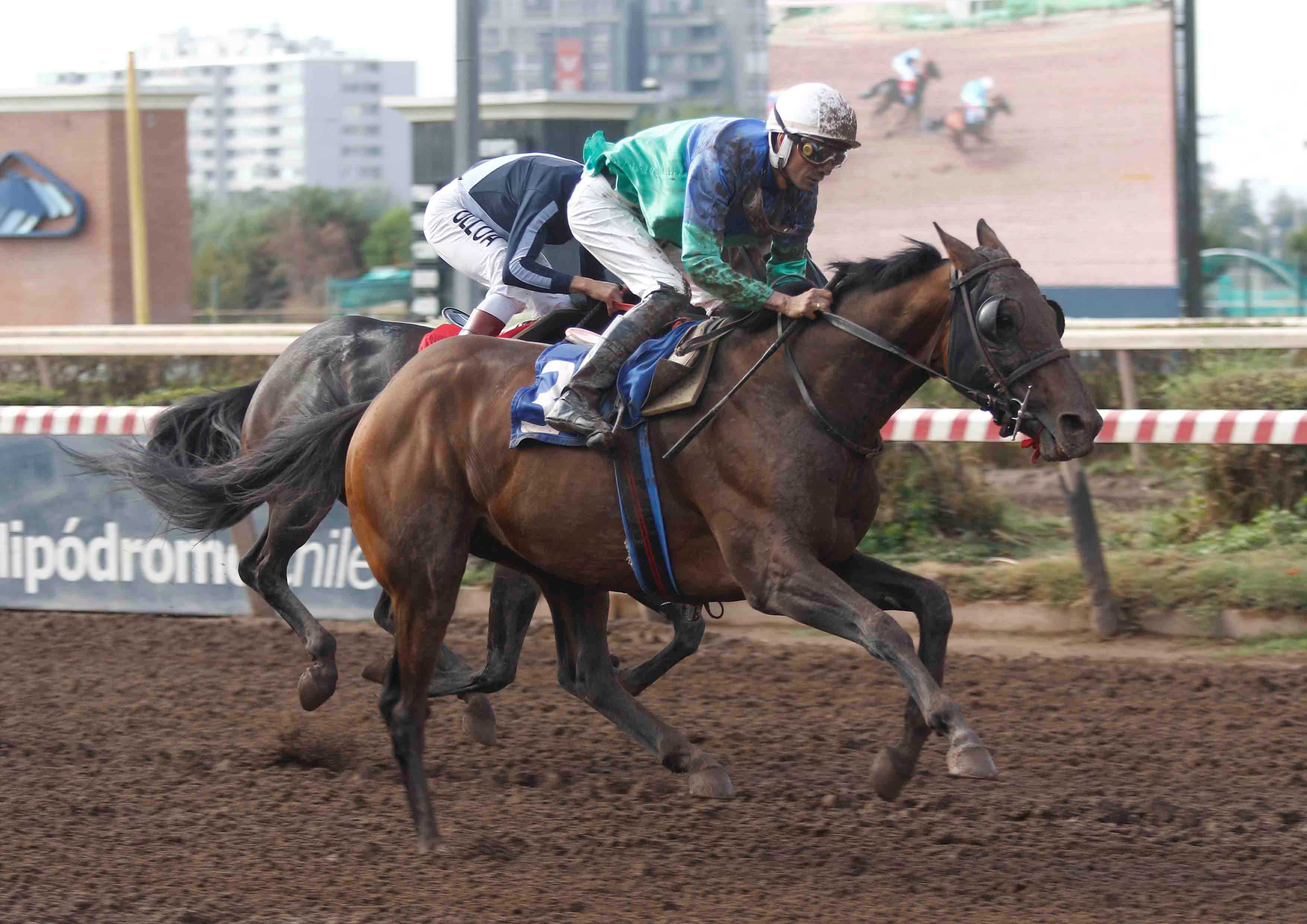 - Comunicaciones Matriarca