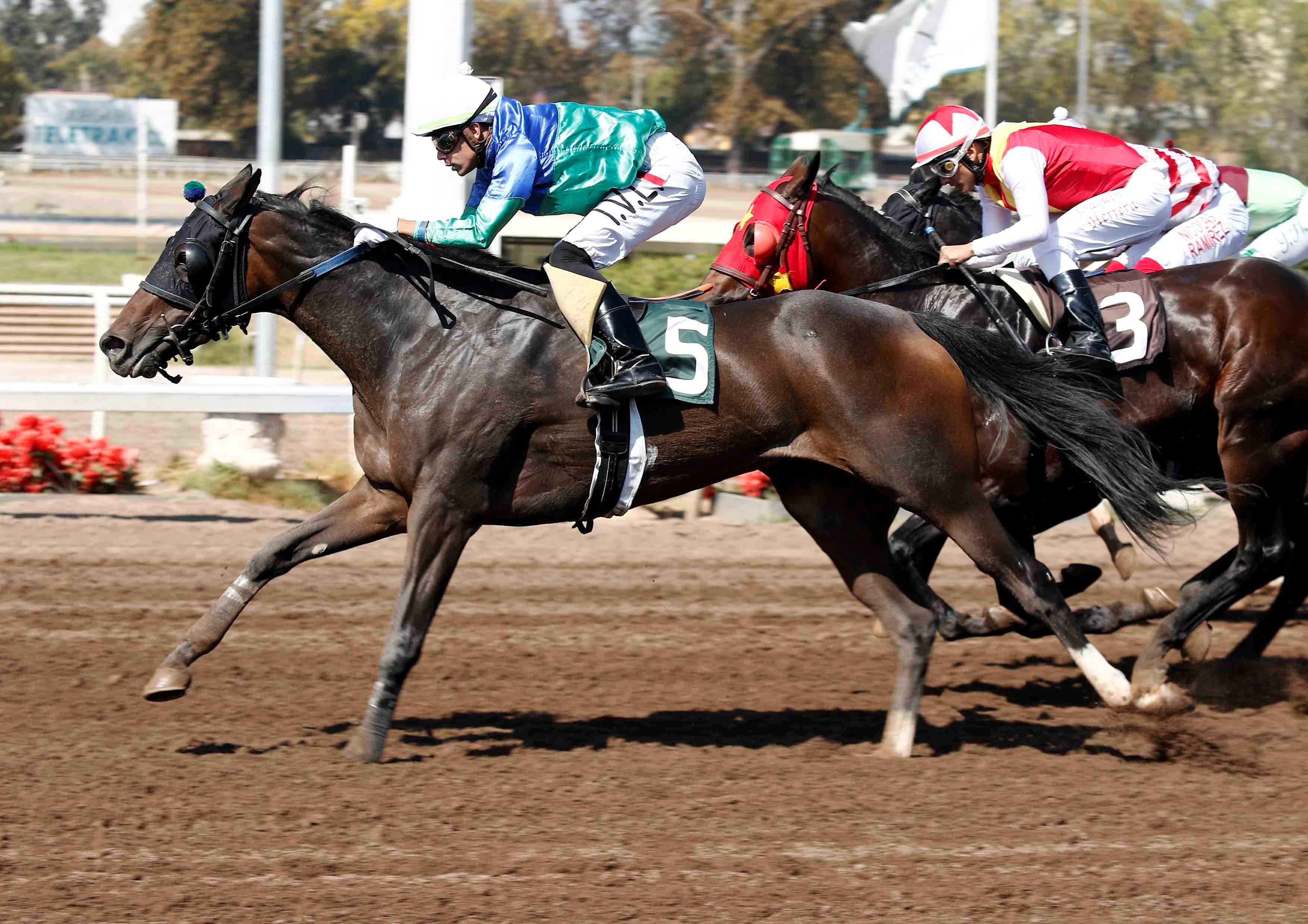  - Comunicaciones Matriarca